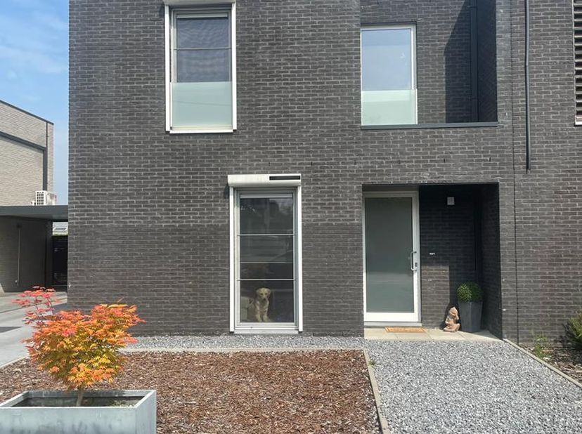 Maison à vendre
                    à 3290 Schaffen